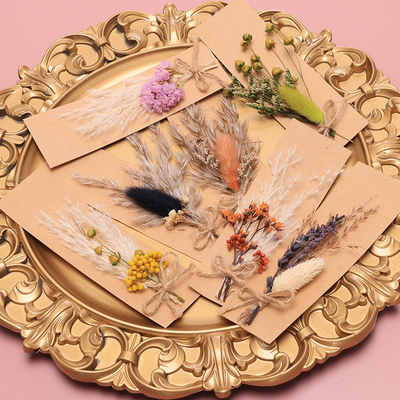 Potpourri 43*15cm высушенной травы Пампаса сумки Opp естественный