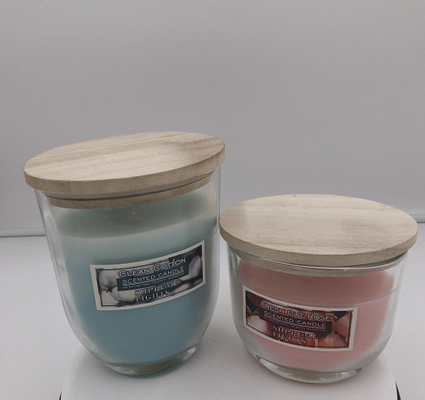 Голубые овальные стеклянные большие на открытом воздухе свечи Citronella для ошибок